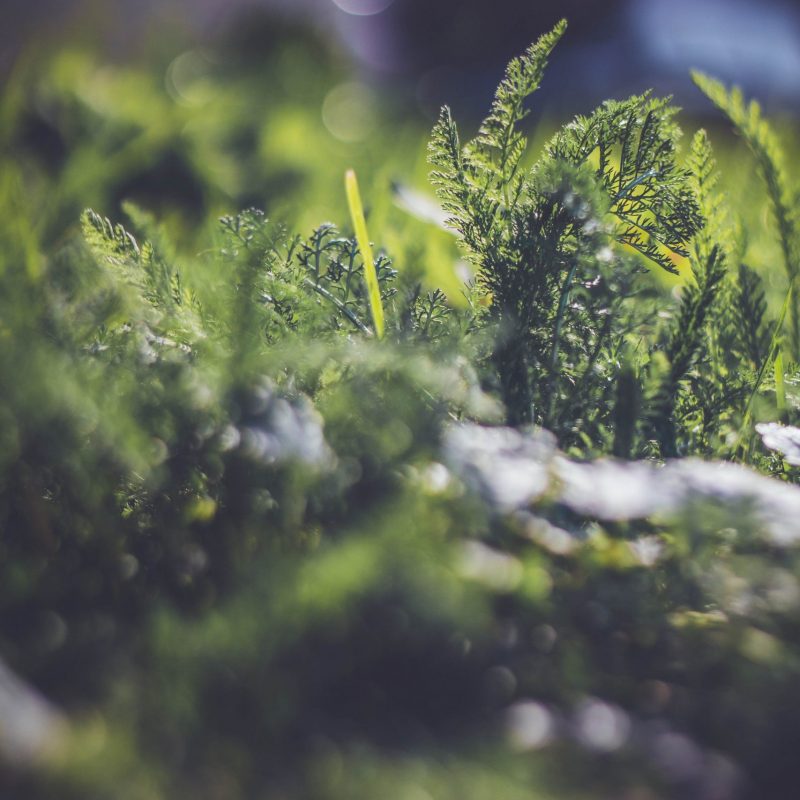 environment_1-scaled.jpg